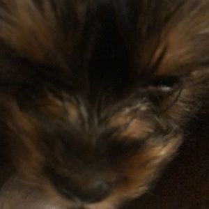 Meet your Posher, Patty